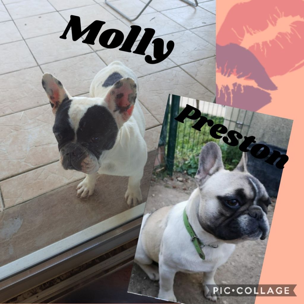 Molly Du Bois Des Maquisards